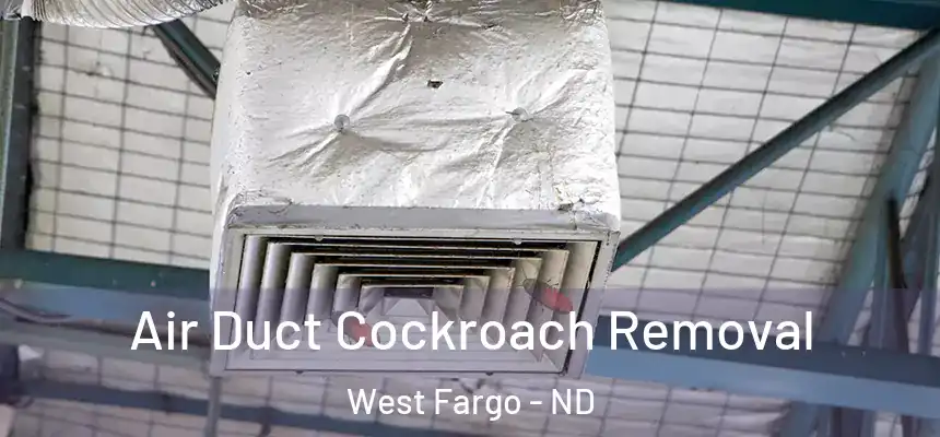Air Duct Cockroach Removal West Fargo - ND