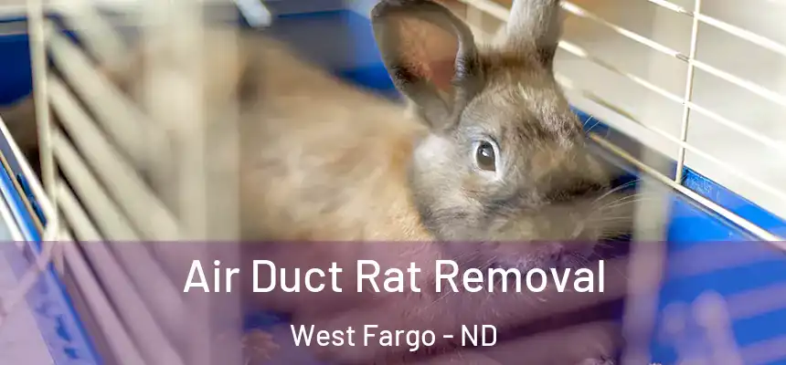 Air Duct Rat Removal West Fargo - ND
