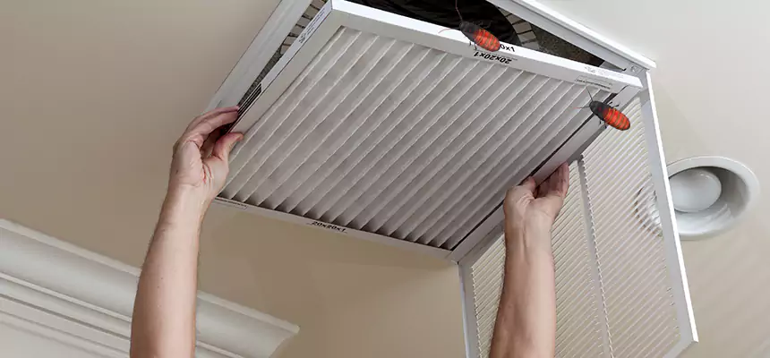 Preventive Cockroach-Proofing for Ducts in West Fargo