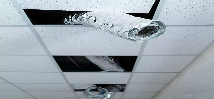 Our Air Duct Pet Hair Removal Services in West Fargo, ND