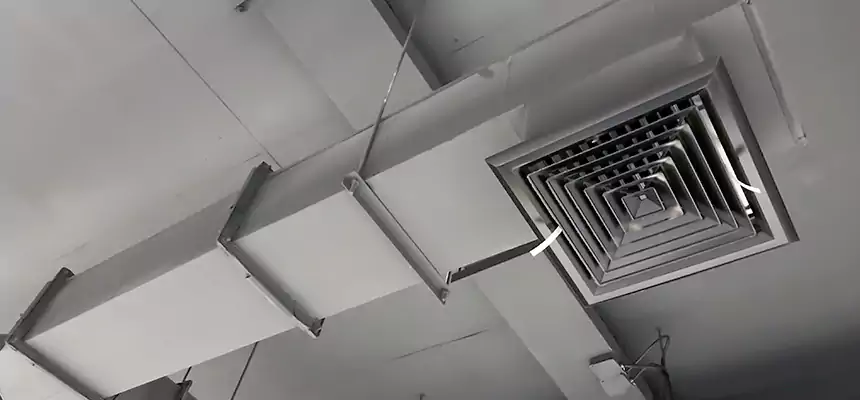 Our Rodent Droppings In Vents Services in West Fargo, ND