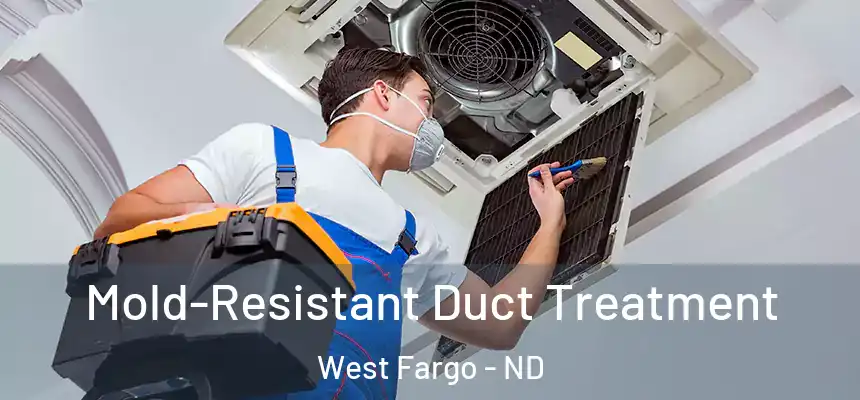  Mold-Resistant Duct Treatment West Fargo - ND