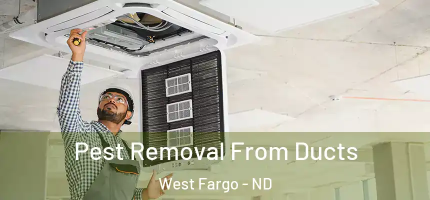 Pest Removal From Ducts West Fargo - ND