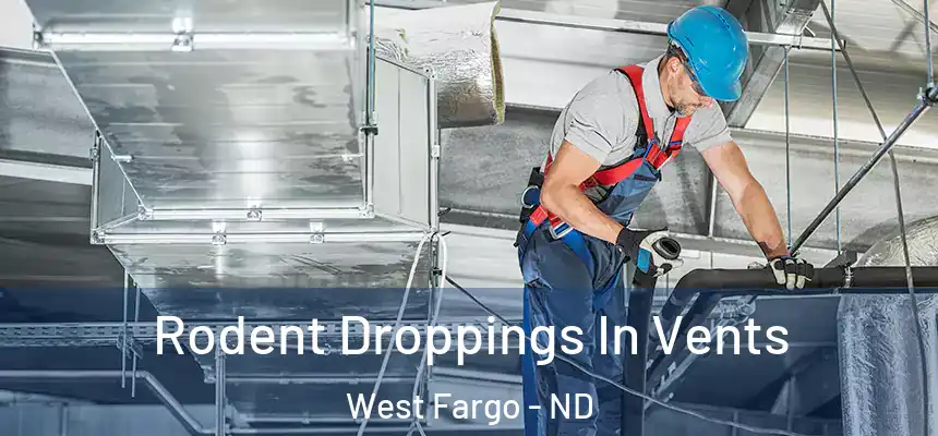  Rodent Droppings In Vents West Fargo - ND