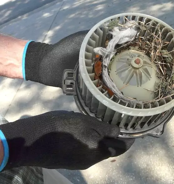 About Air Duct Mice Removal in West Fargo, ND