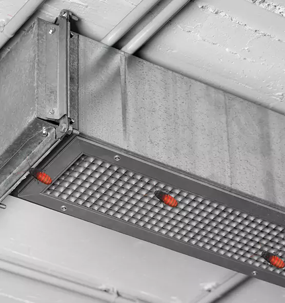 Affordable Insect Removal from Air Ducts in West Fargo, ND